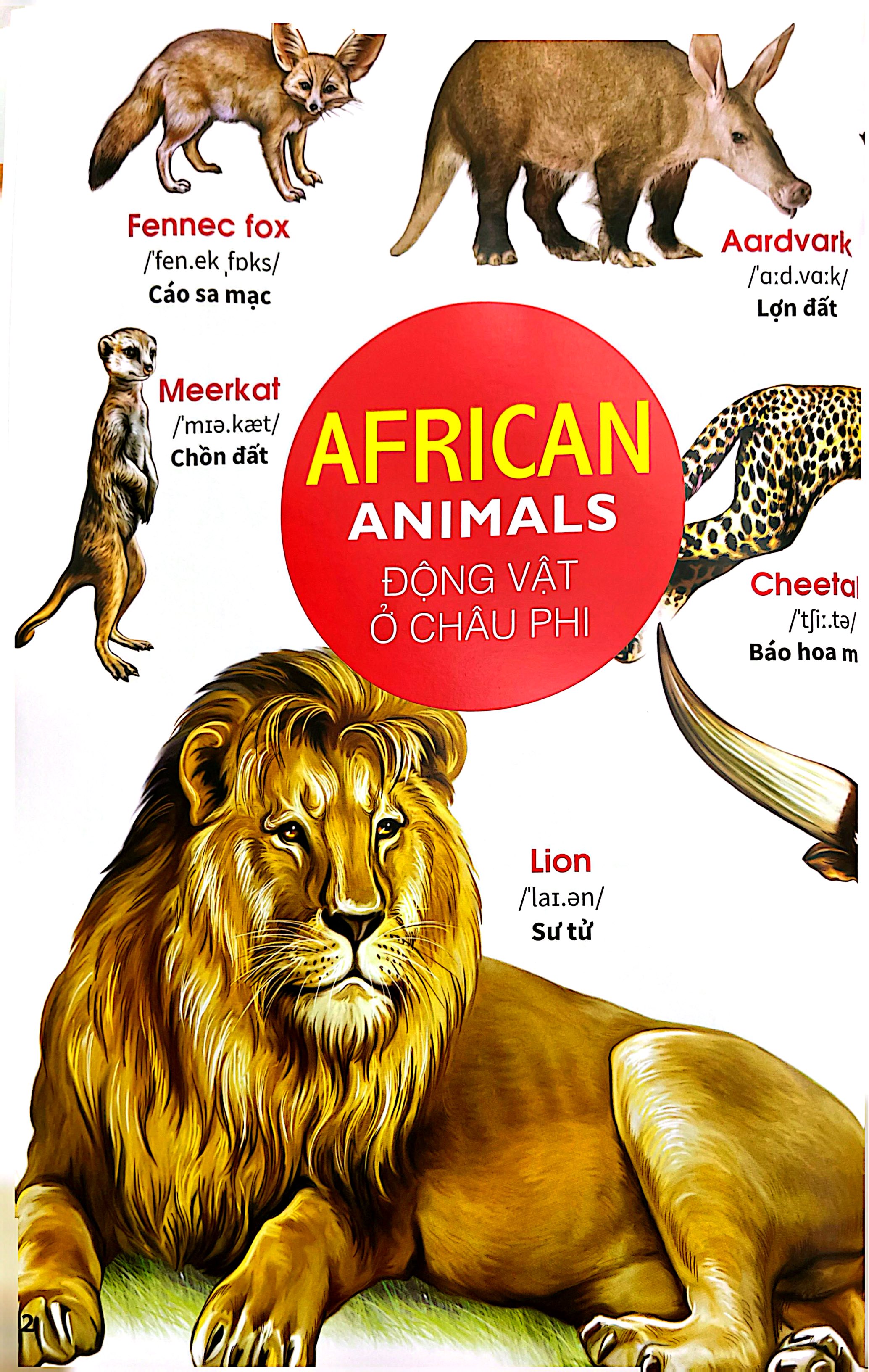 My First Book Of Animals - Thế Giới Động Vật