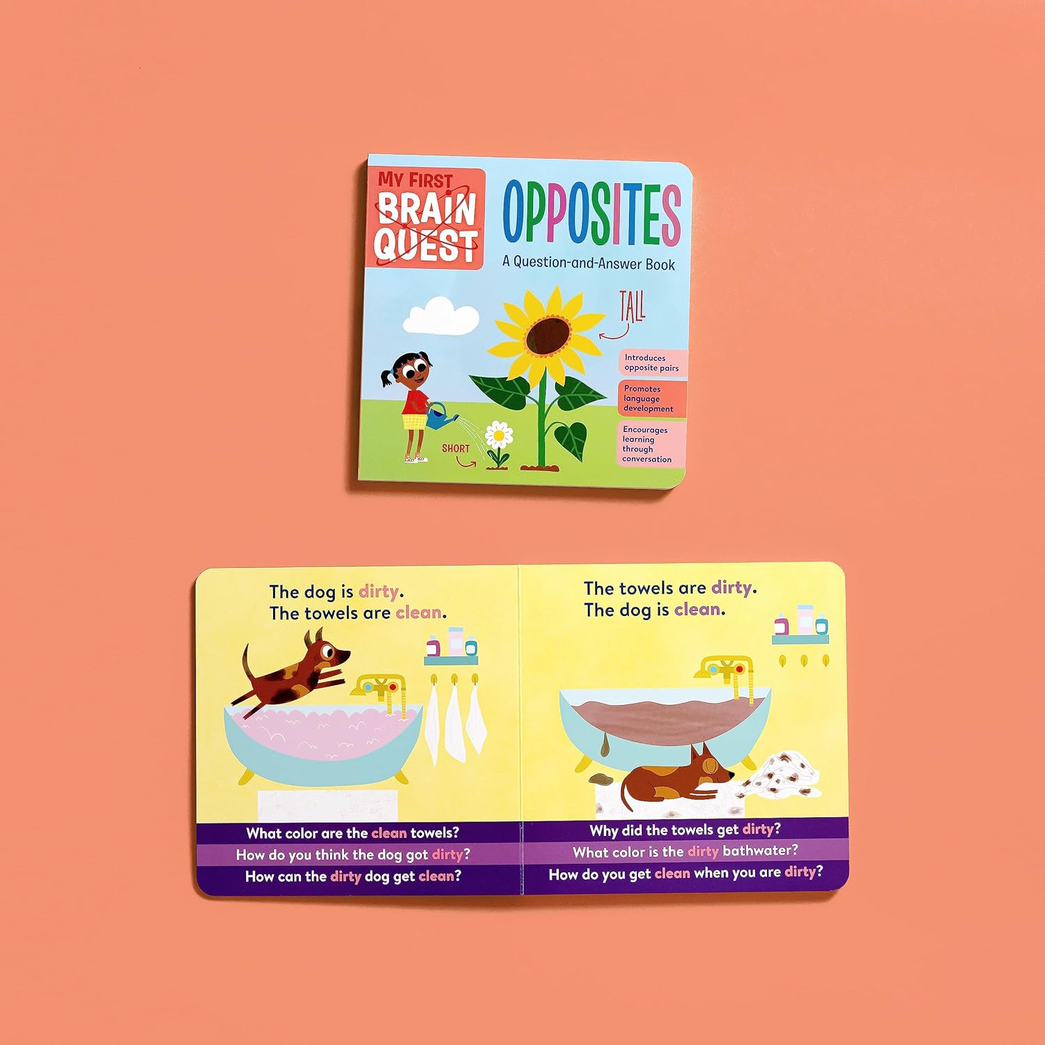 My First Brain Quest - Opposites - A Question-and-Answer Book