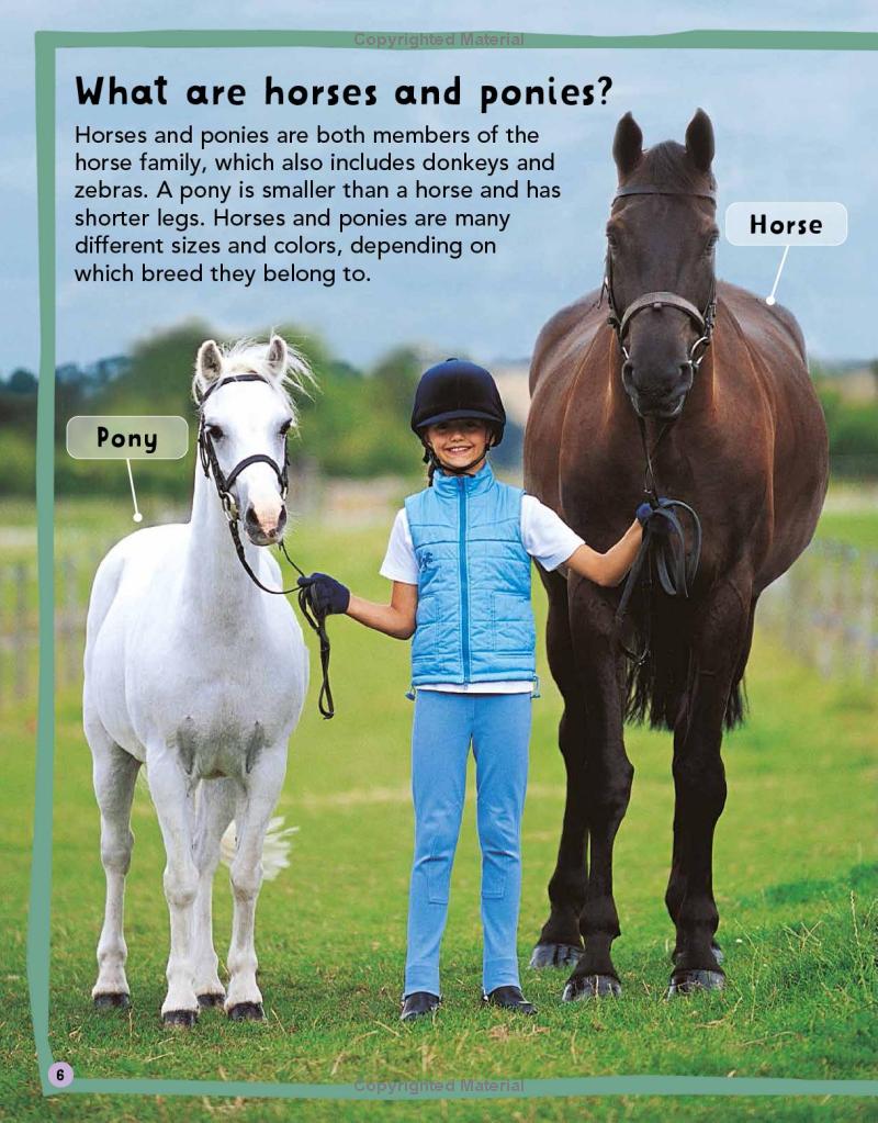 my first horse and pony book