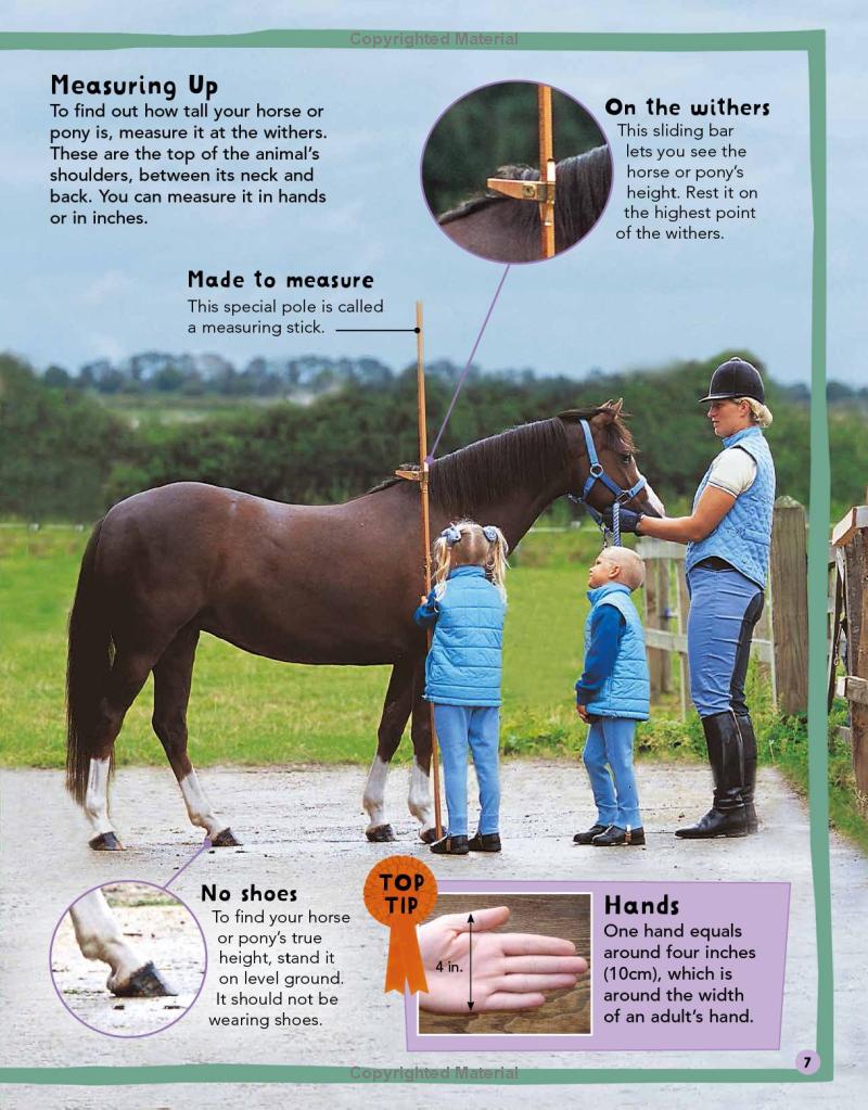 my first horse and pony book