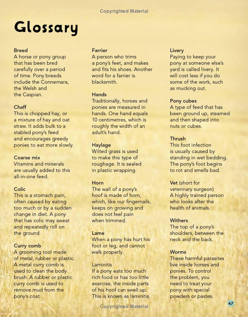 my first horse and pony care book