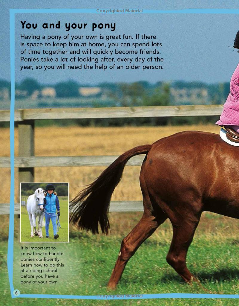 my first horse and pony care book