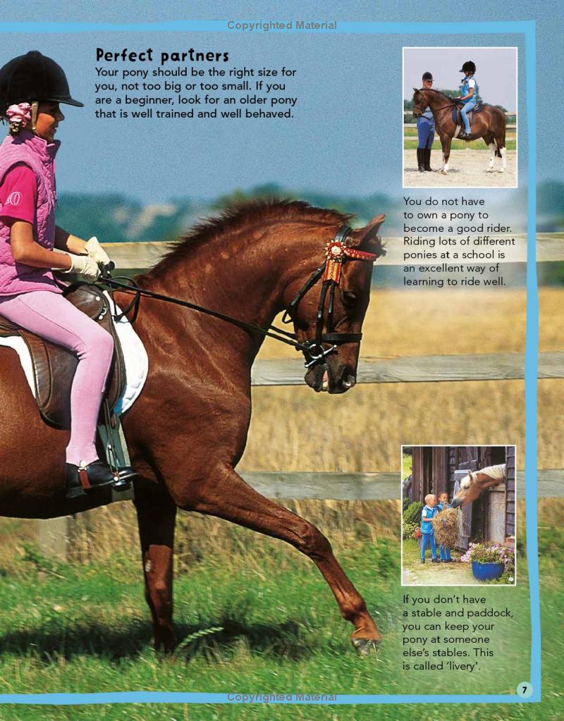 my first horse and pony care book