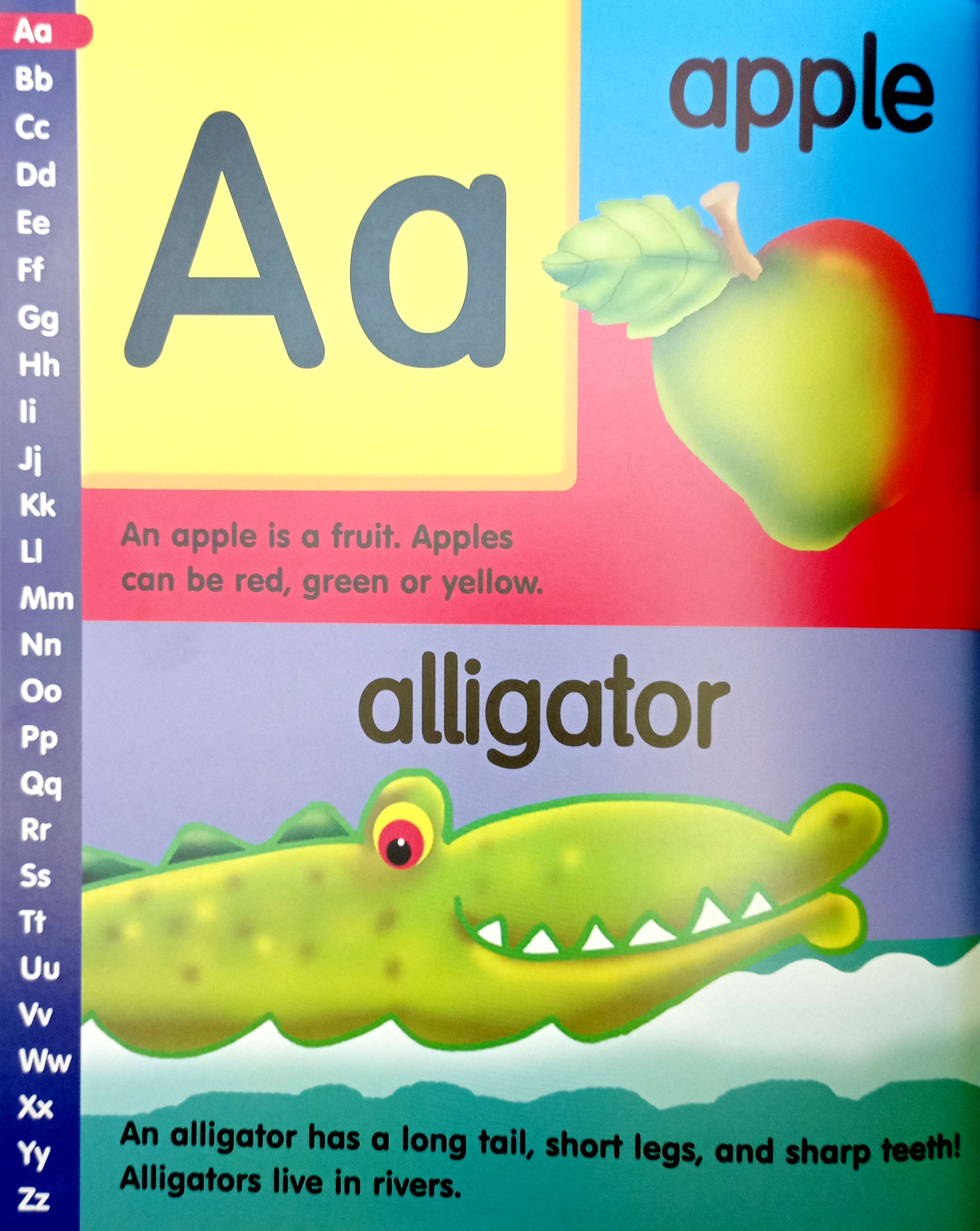 my first picture dictionary