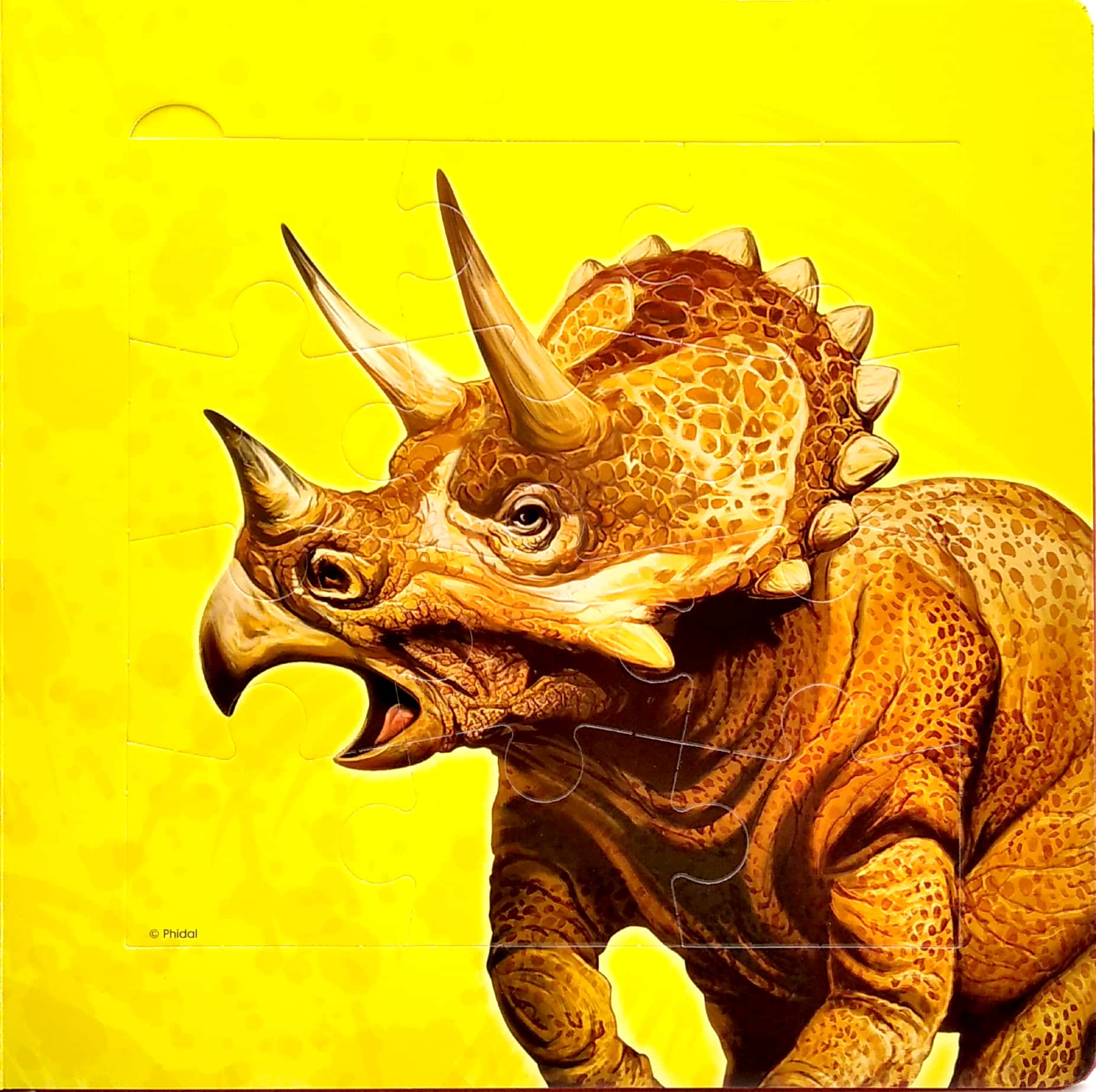 my first puzzle book: dinosaurs