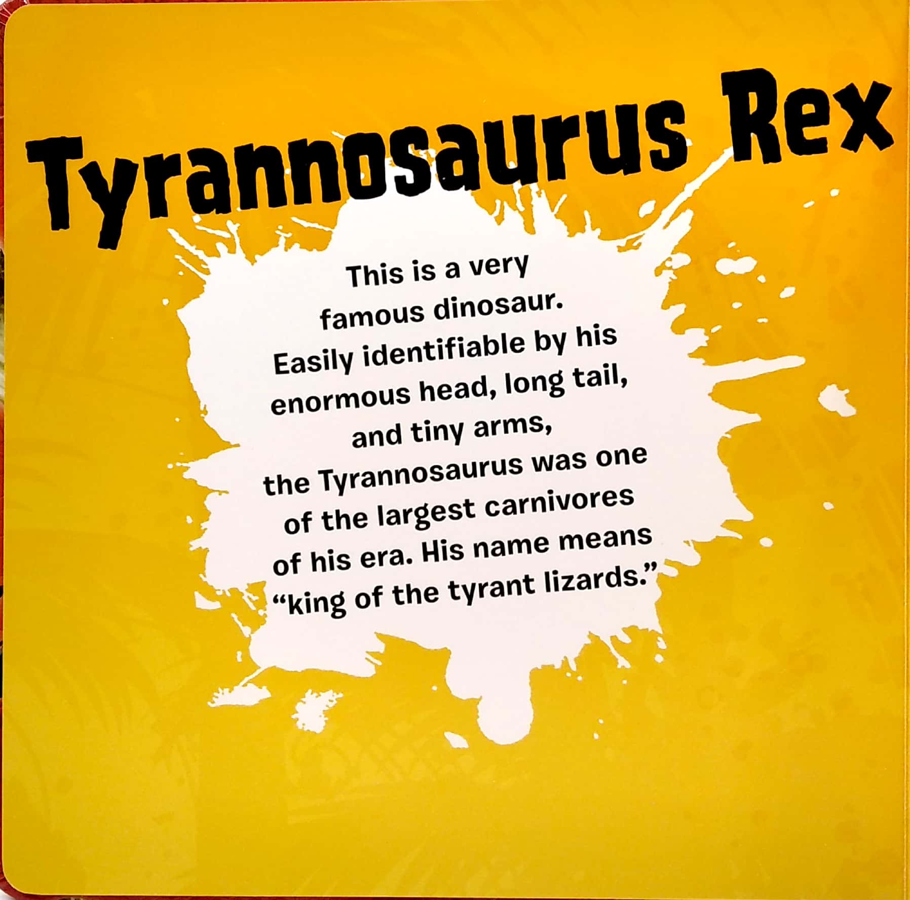 my first puzzle book: dinosaurs