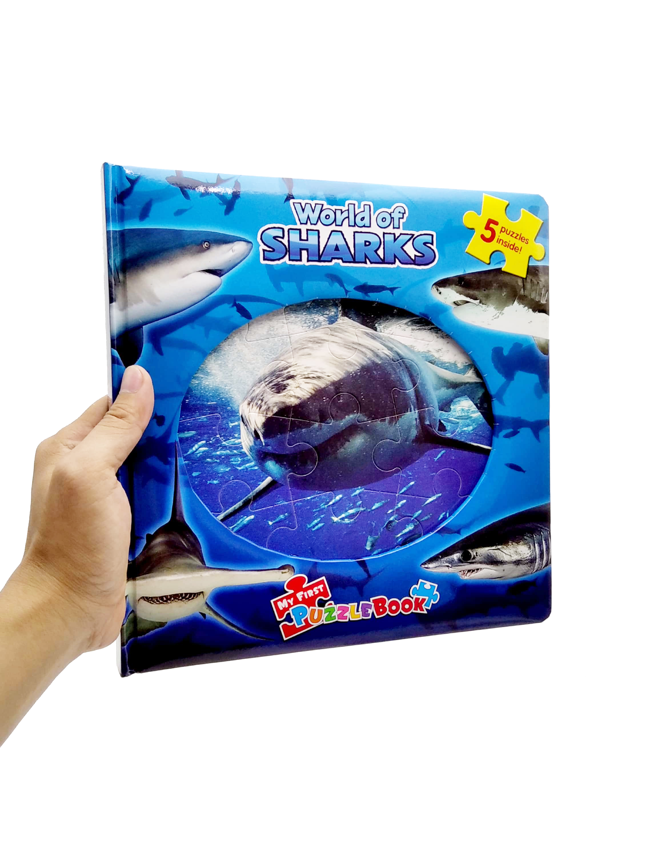 my first puzzle book: sharks