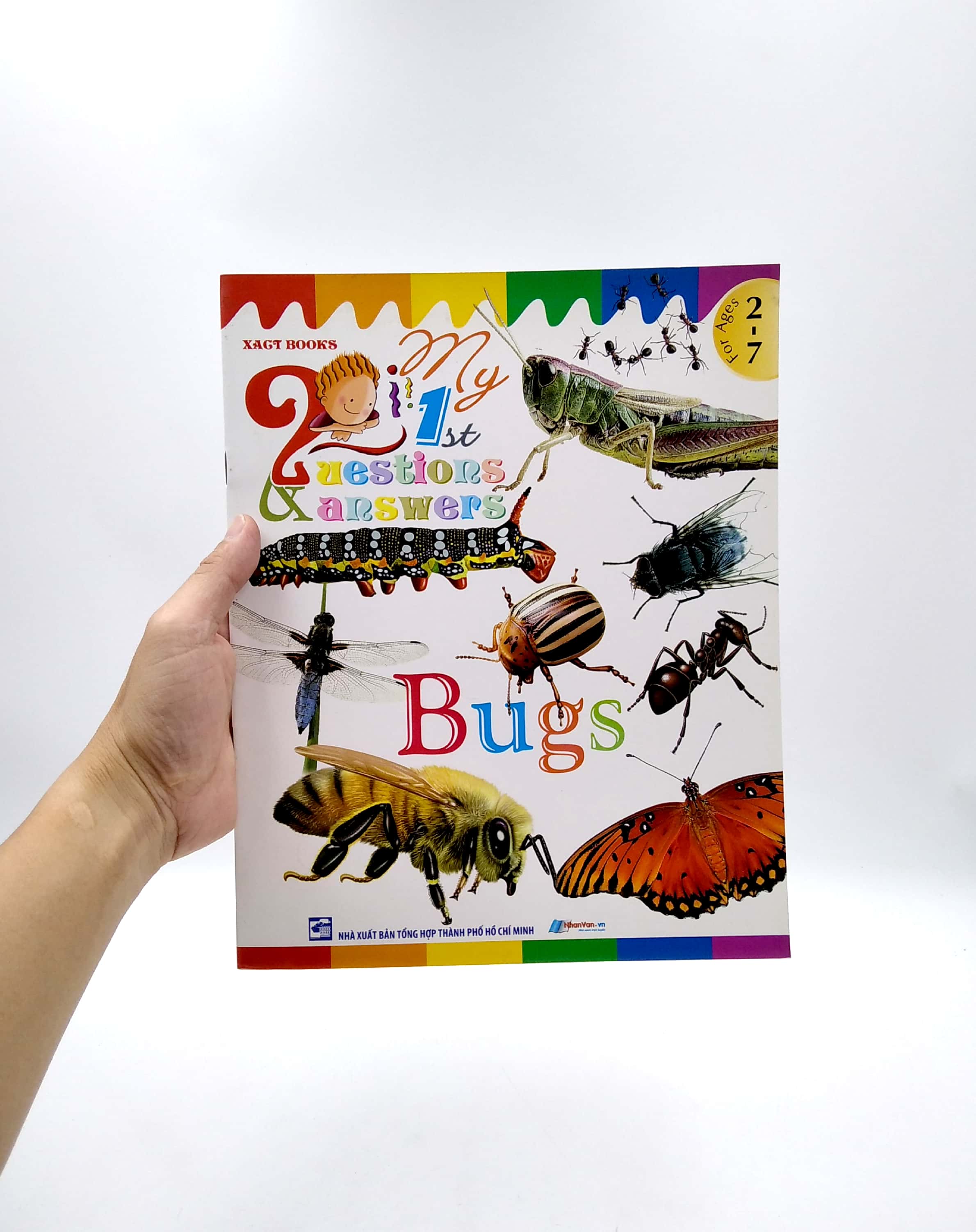 my first questions & answers - bugs