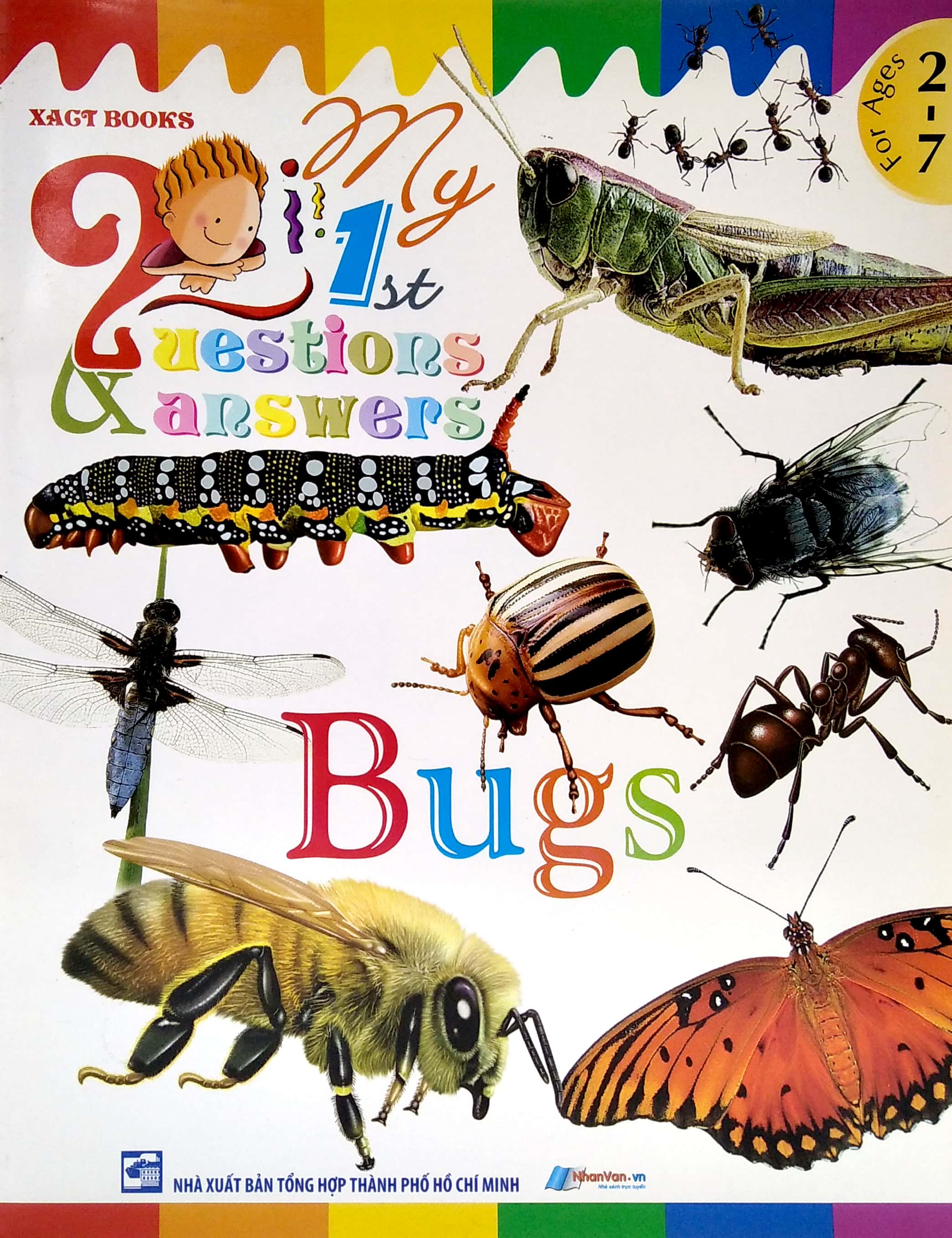 my first questions & answers - bugs