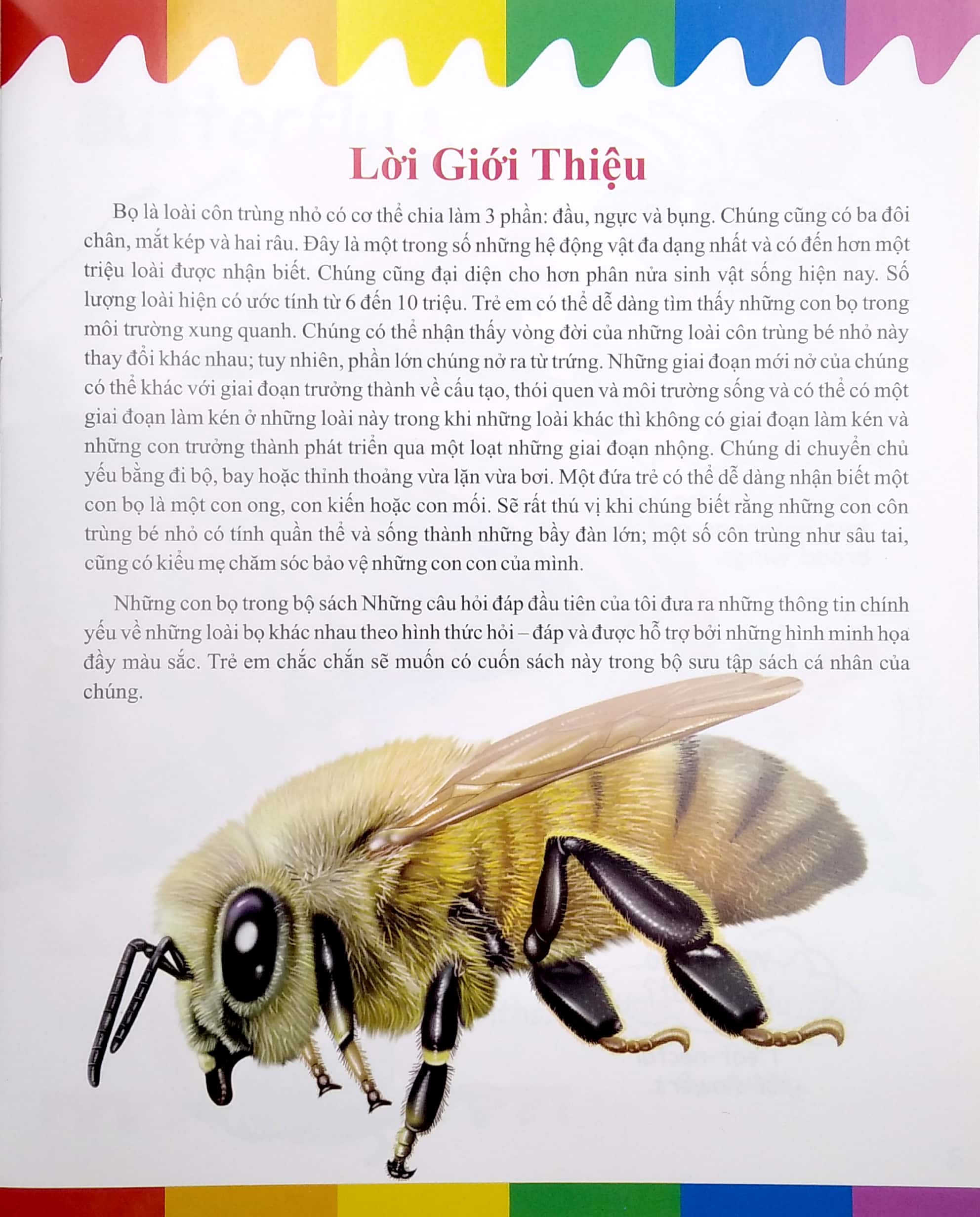 my first questions & answers - bugs