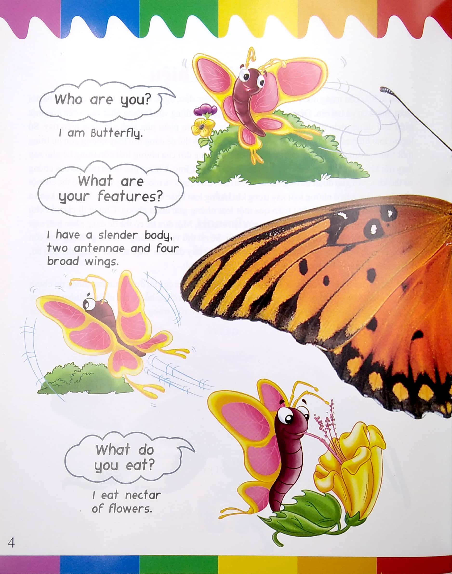 my first questions & answers - bugs