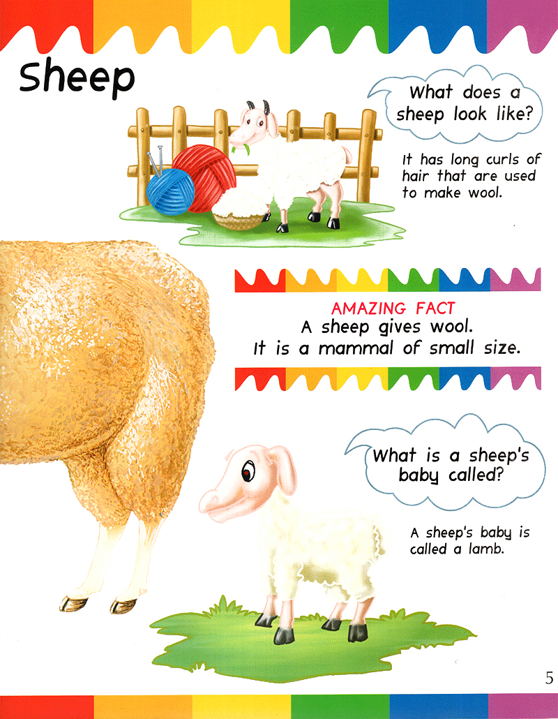 my first questions & answers - farm animals