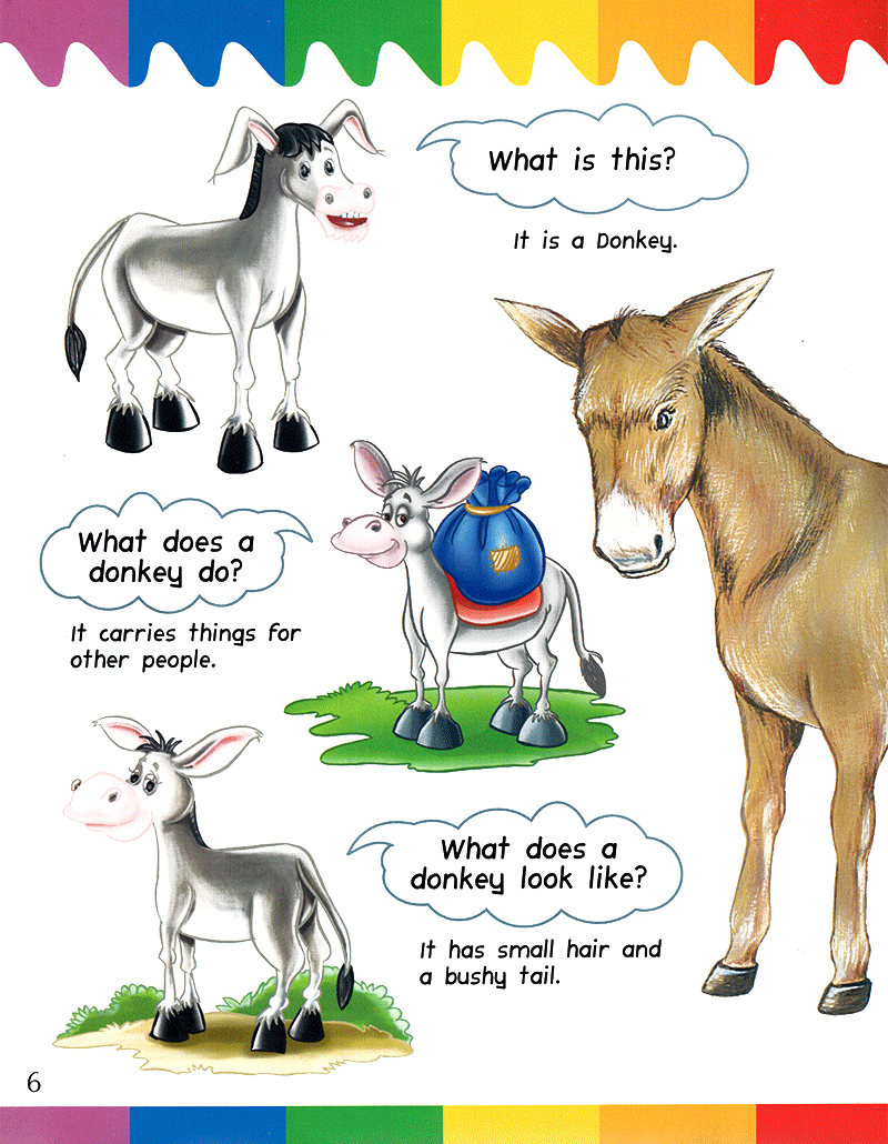 my first questions & answers - farm animals