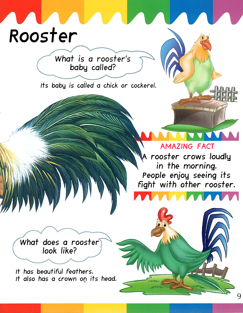 my first questions & answers - farm animals