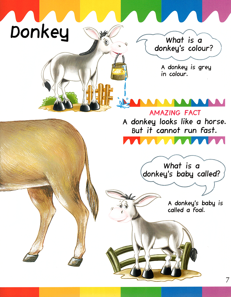 my first questions & answers - farm animals