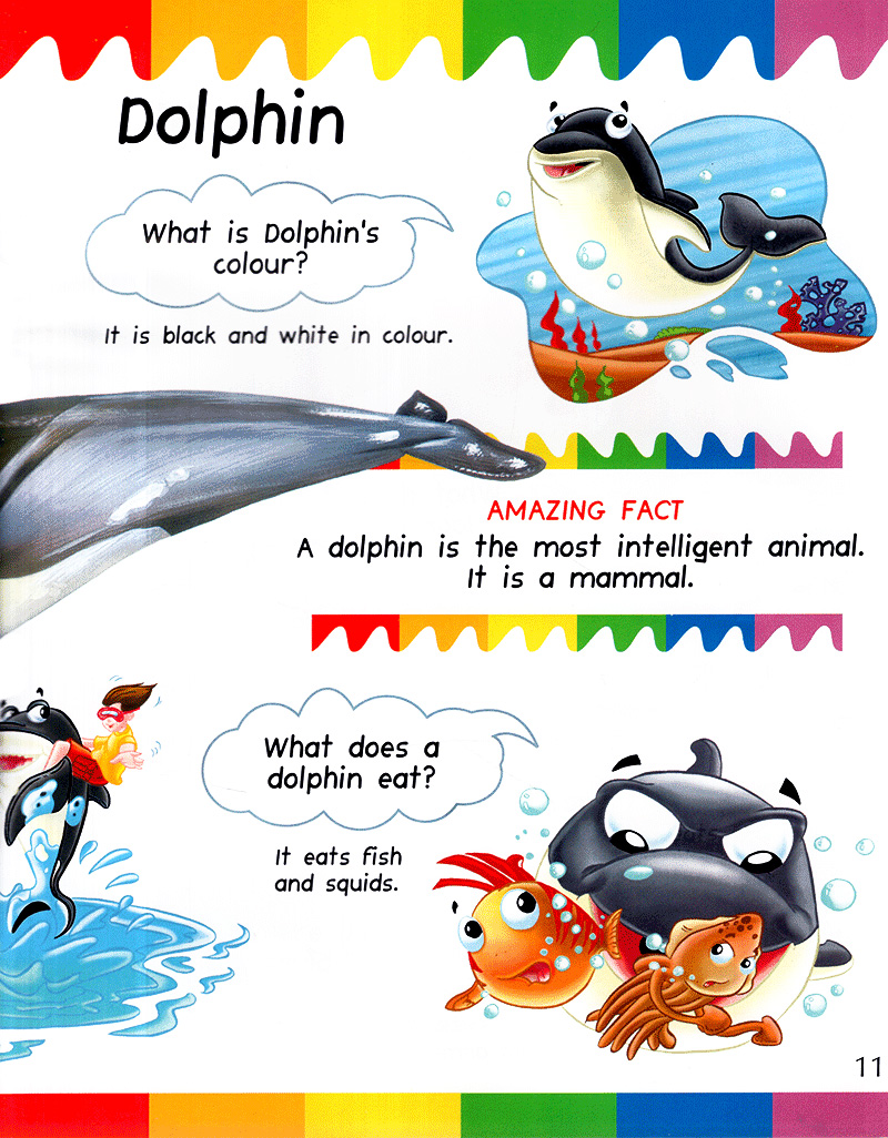 my first questions & answers - ocean