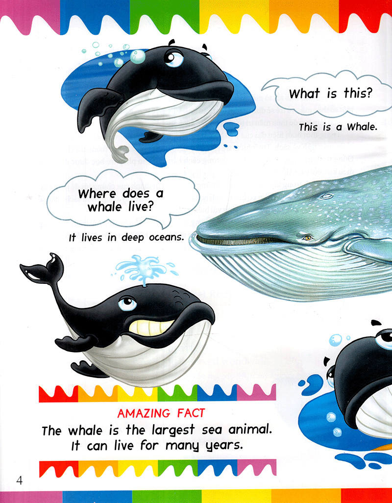 my first questions & answers - ocean