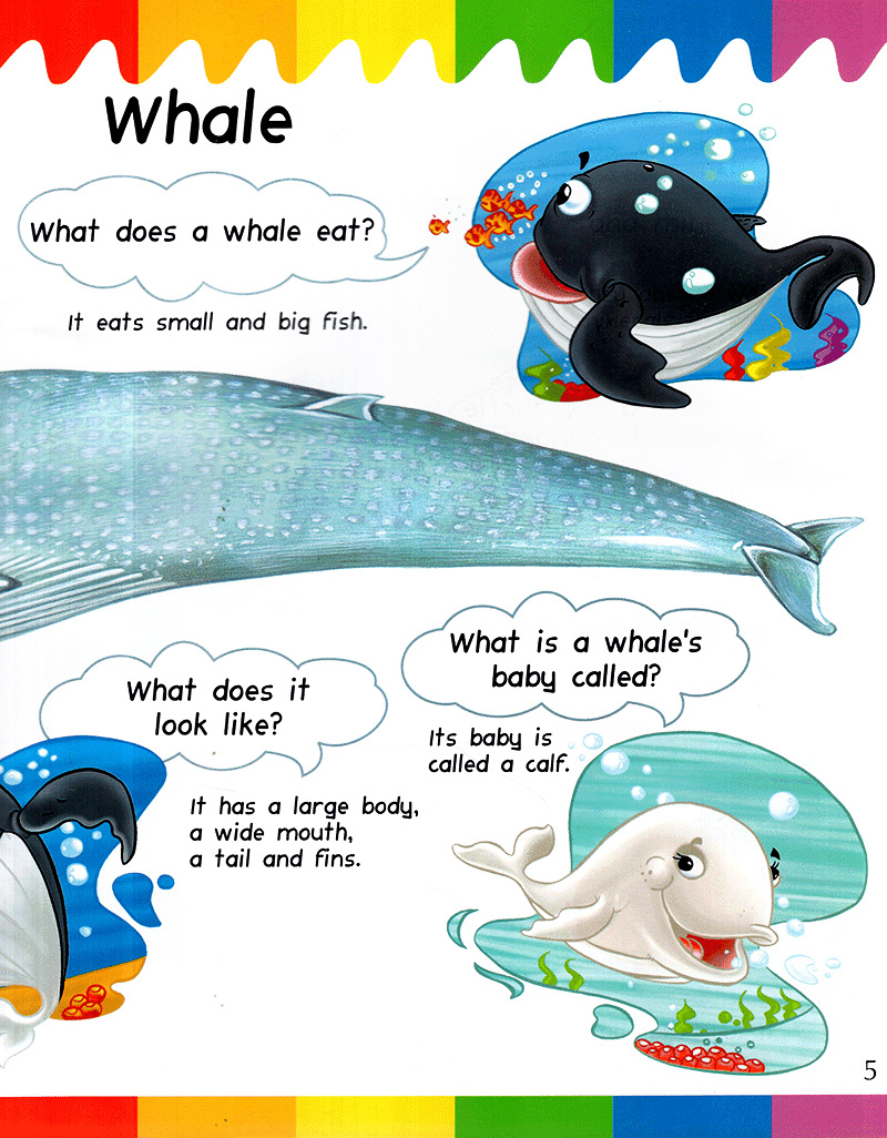 my first questions & answers - ocean