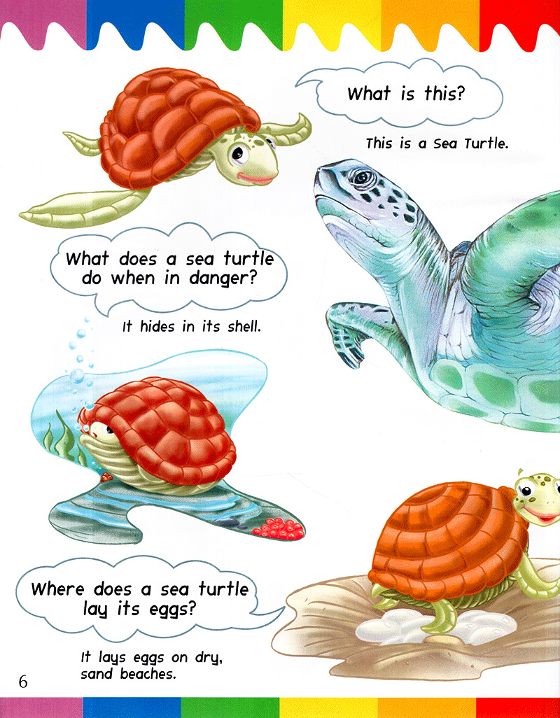 my first questions & answers - ocean