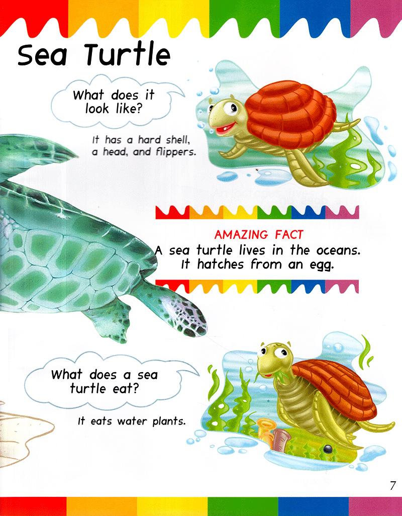 my first questions & answers - ocean