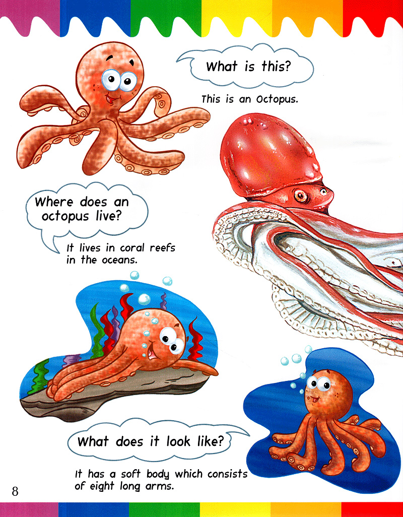 my first questions & answers - ocean