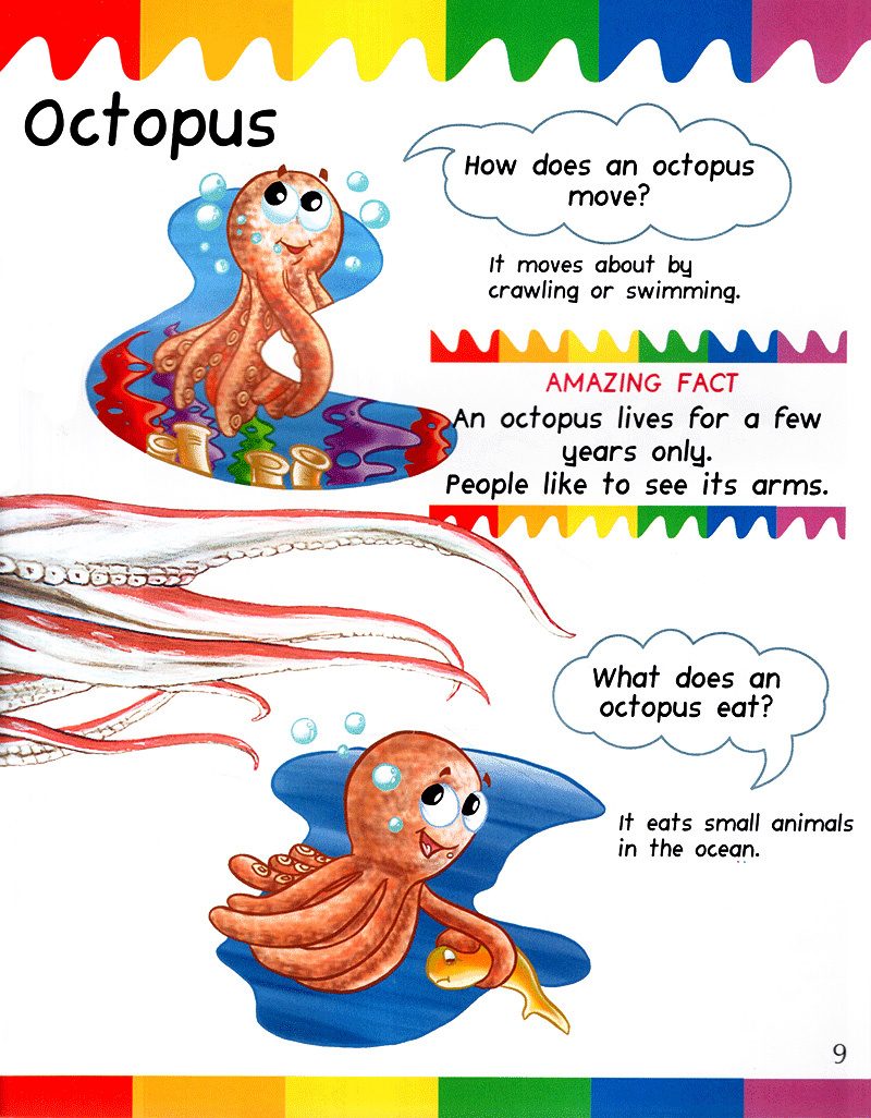 my first questions & answers - ocean