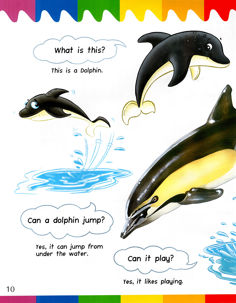 my first questions & answers - ocean