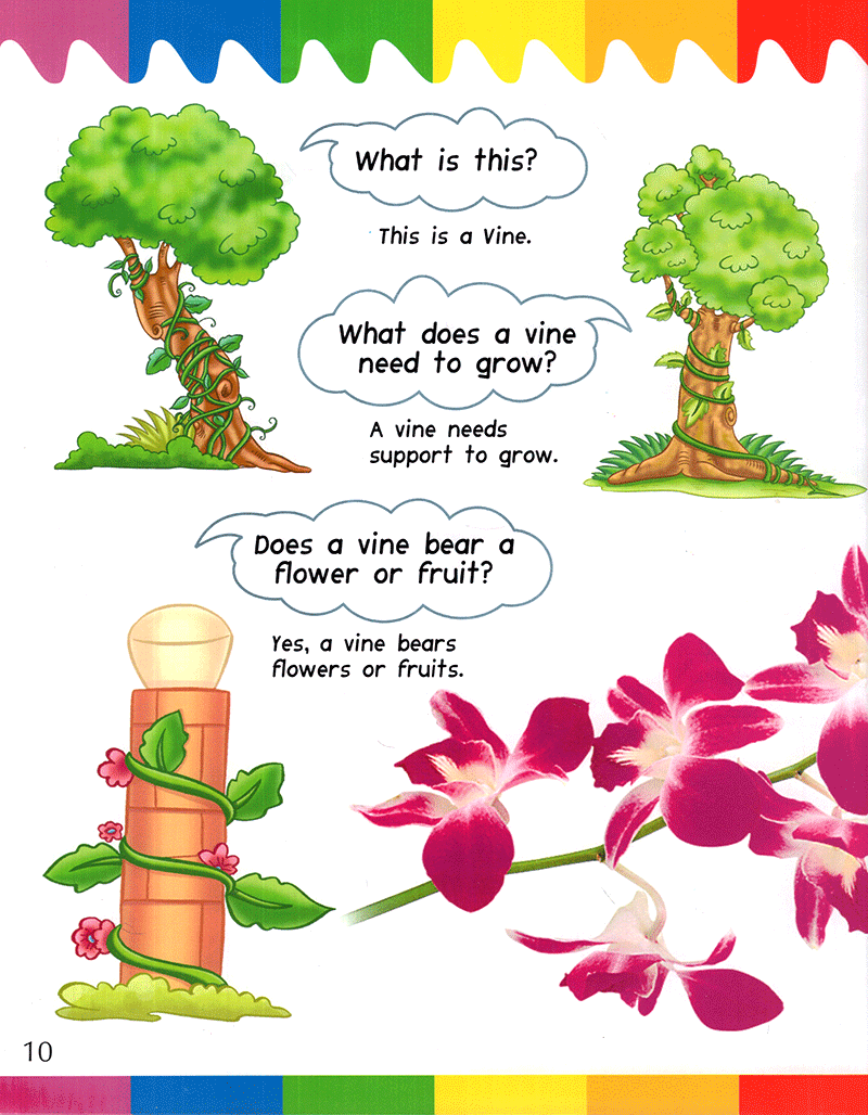 my first questions & answers - plants