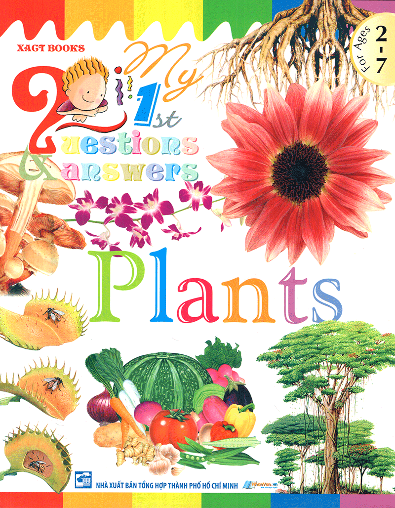 my first questions & answers - plants