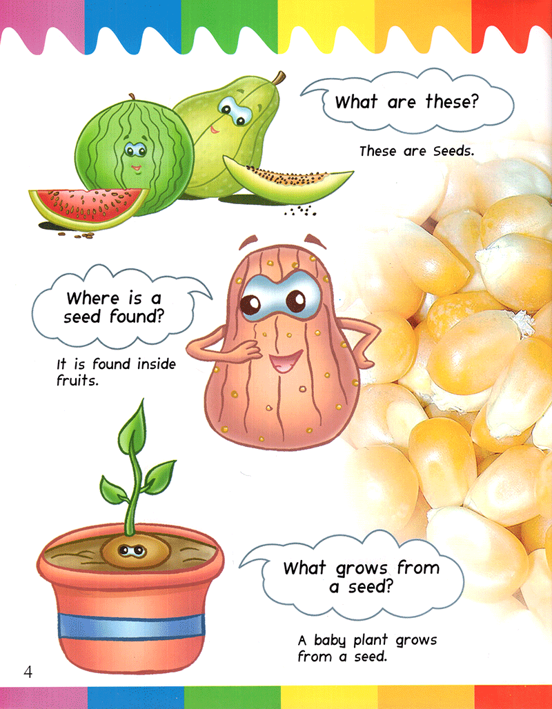 my first questions & answers - plants