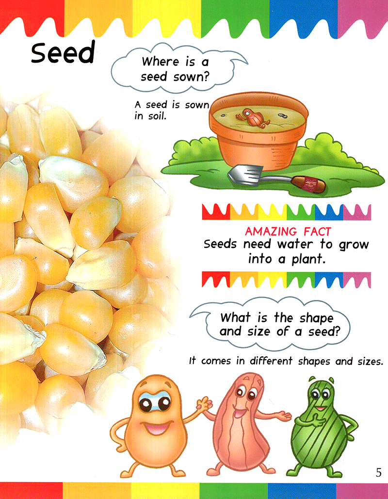 my first questions & answers - plants
