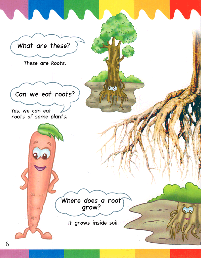 my first questions & answers - plants