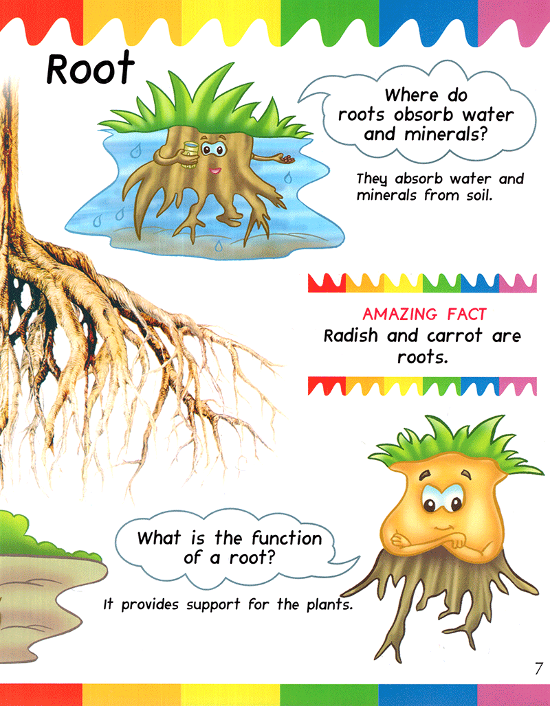 my first questions & answers - plants