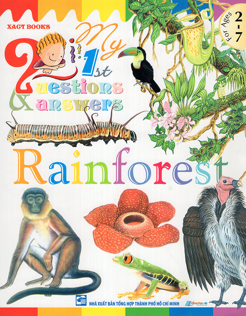 my first questions & answers - rainforest