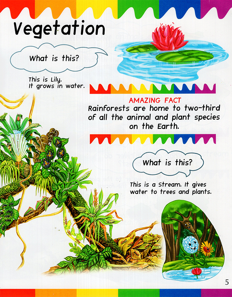 my first questions & answers - rainforest