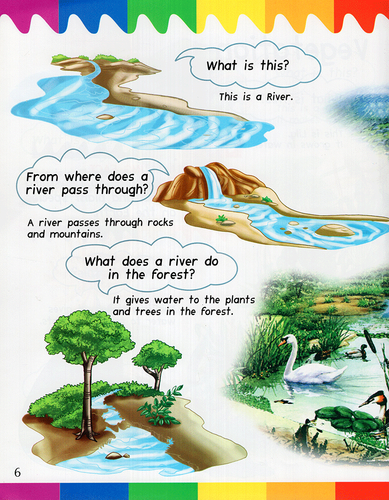 my first questions & answers - rainforest