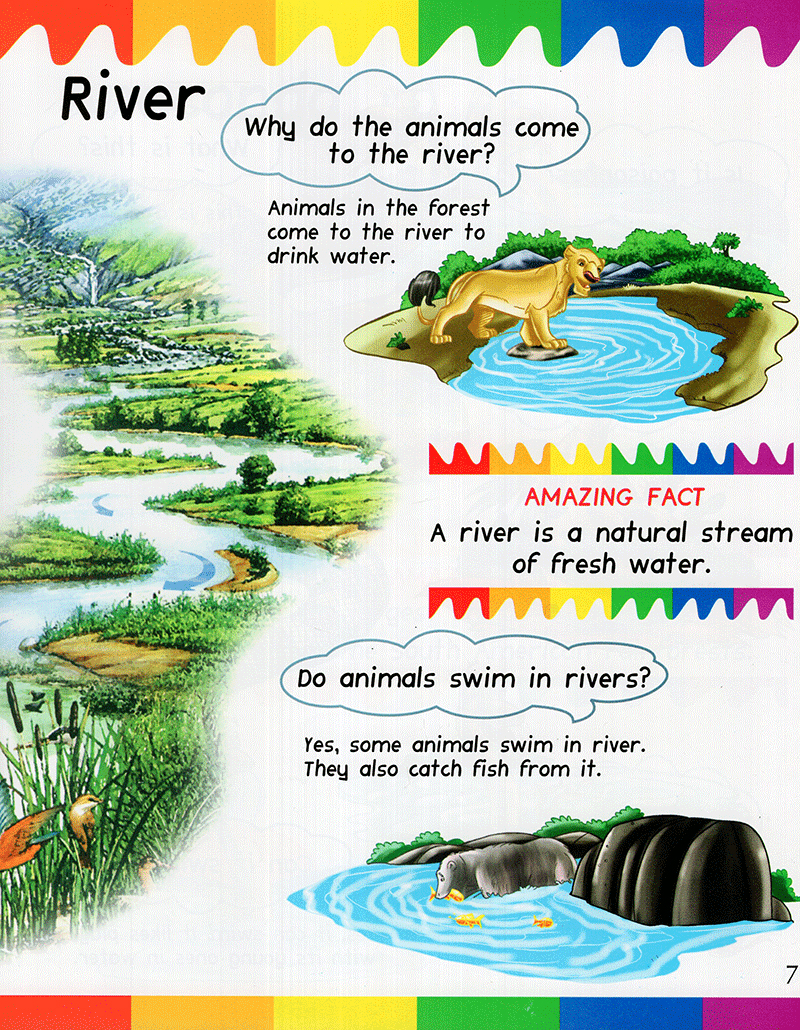 my first questions & answers - rainforest