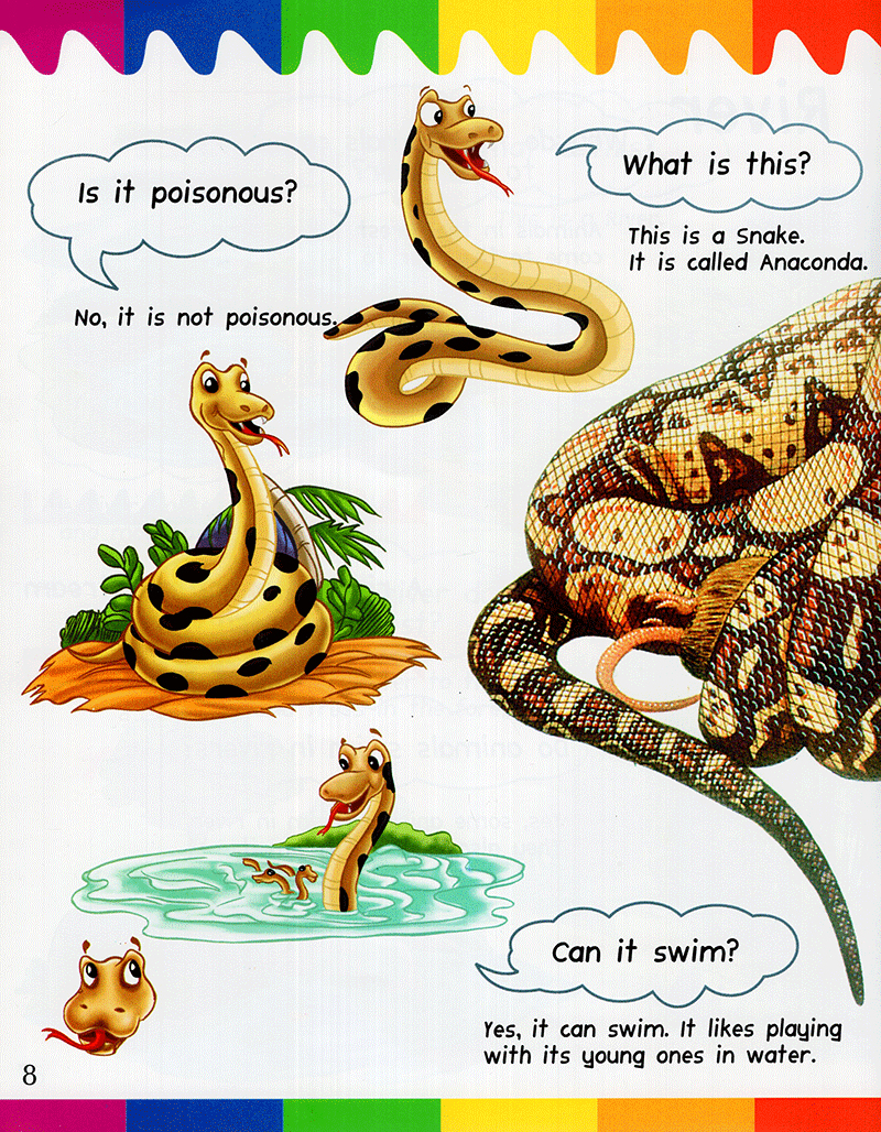 my first questions & answers - rainforest