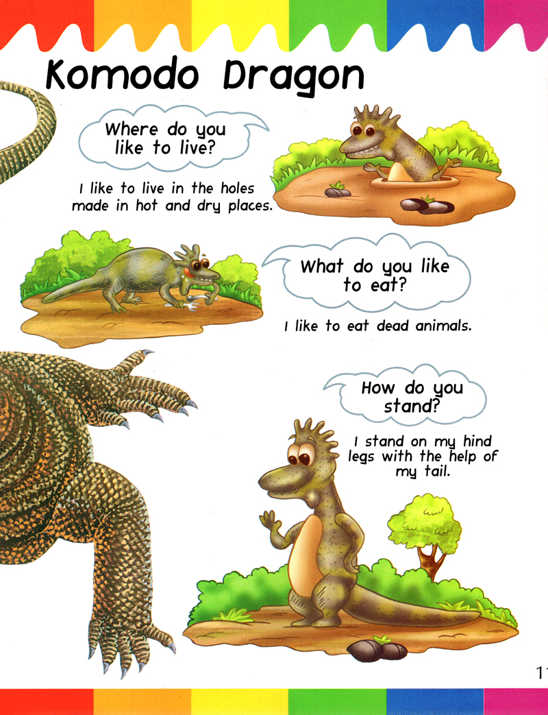 my first questions & answers - reptiles & amphibians