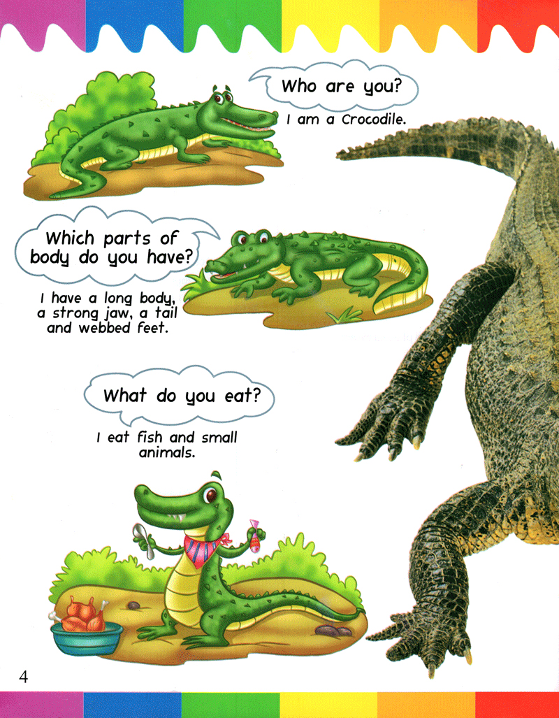 my first questions & answers - reptiles & amphibians