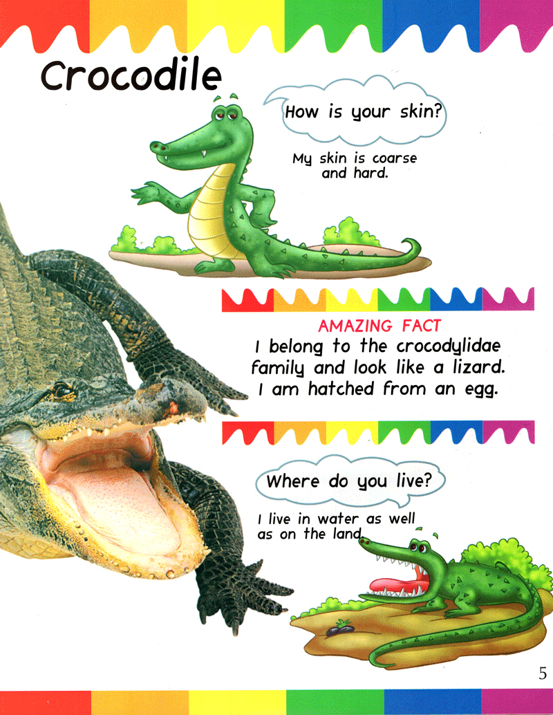 my first questions & answers - reptiles & amphibians