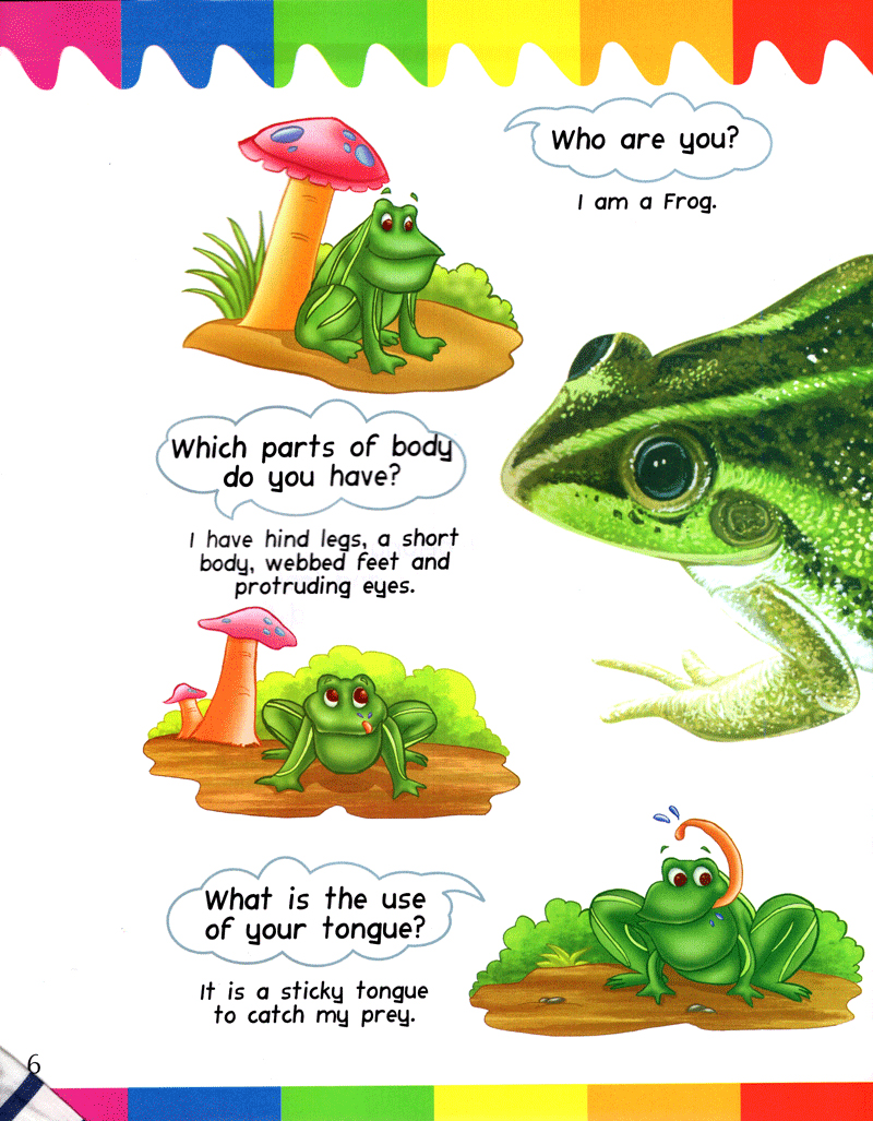 my first questions & answers - reptiles & amphibians