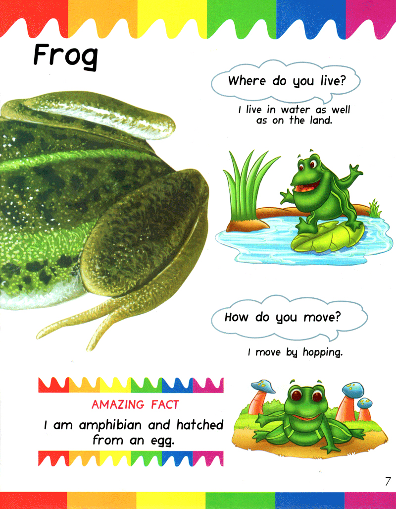 my first questions & answers - reptiles & amphibians