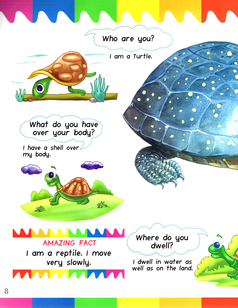 my first questions & answers - reptiles & amphibians