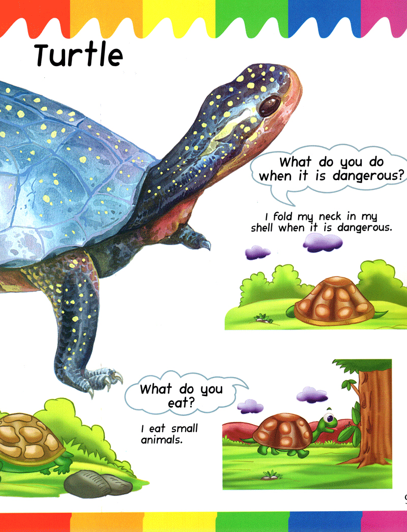 my first questions & answers - reptiles & amphibians