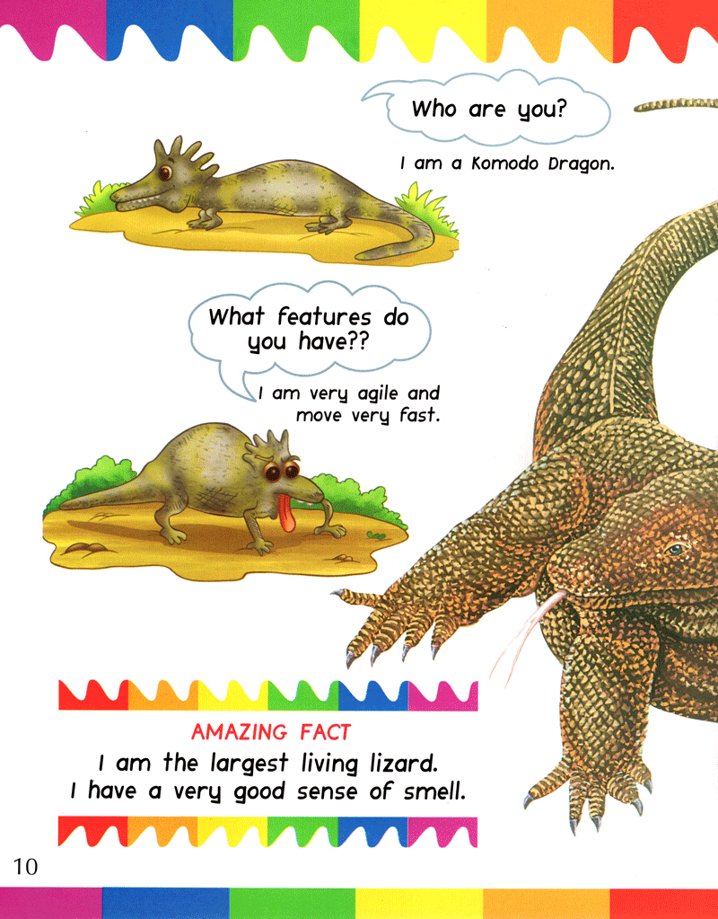 my first questions & answers - reptiles & amphibians