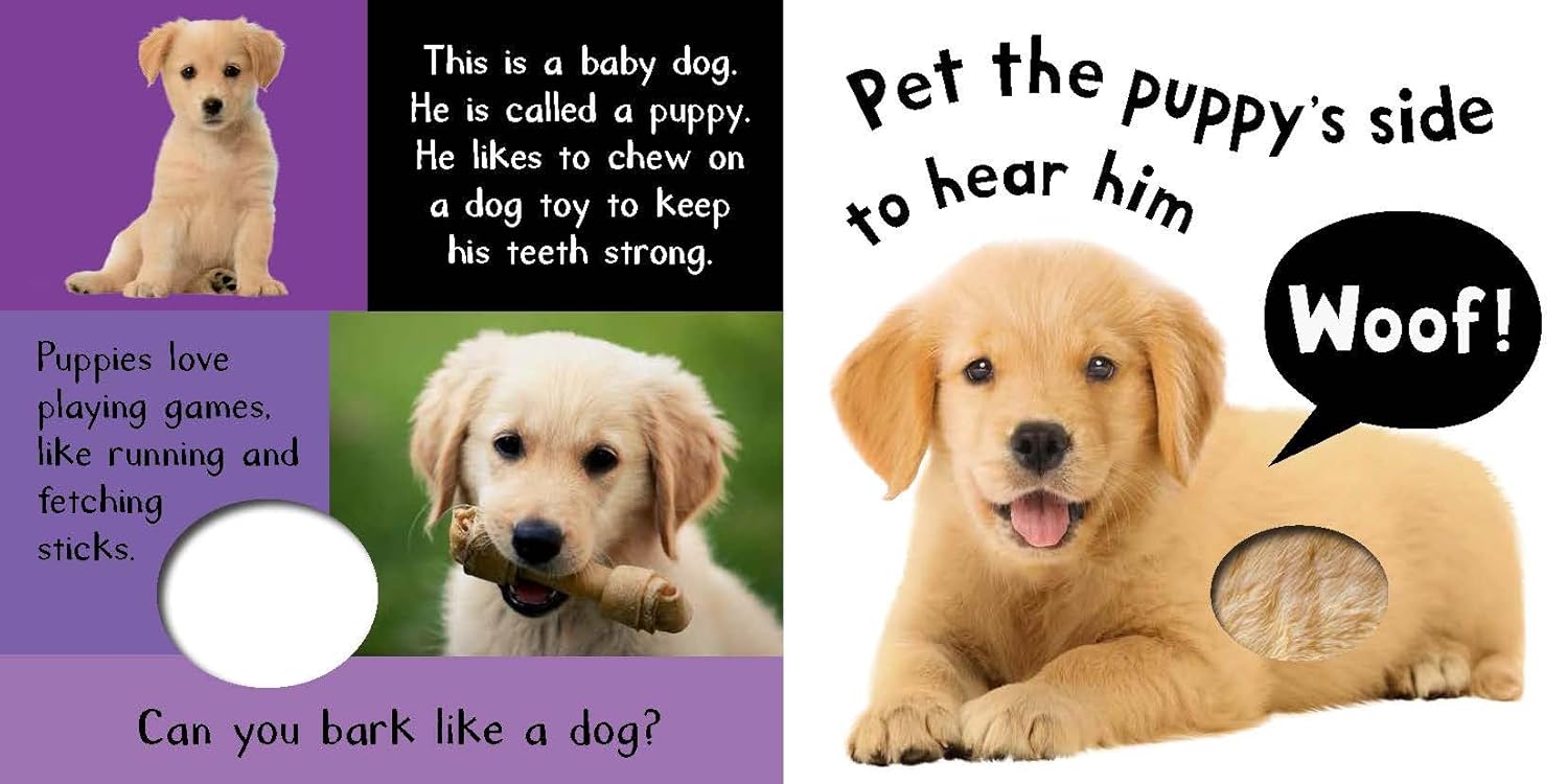 My First Touch And Feel Sound Book - Noisy Baby Animals