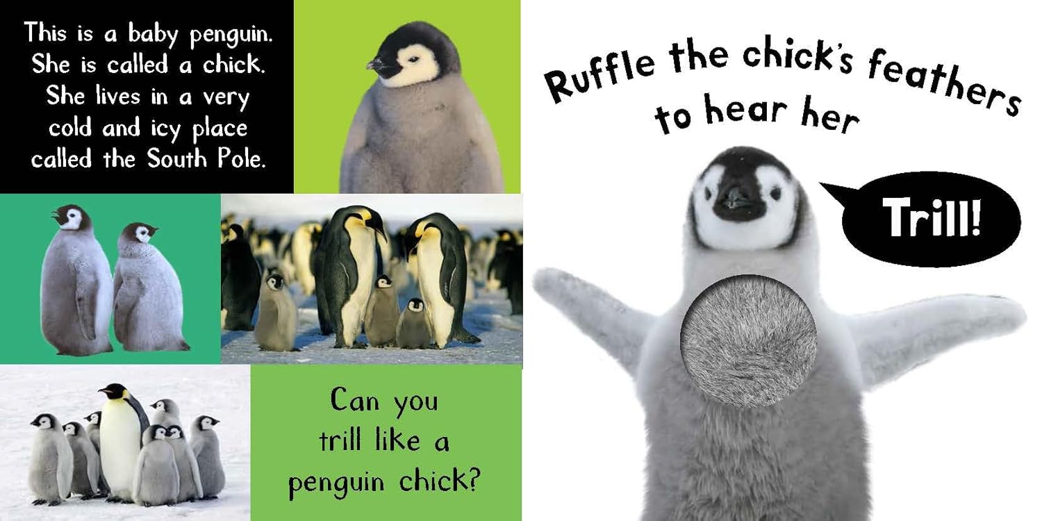 My First Touch And Feel Sound Book - Noisy Baby Animals