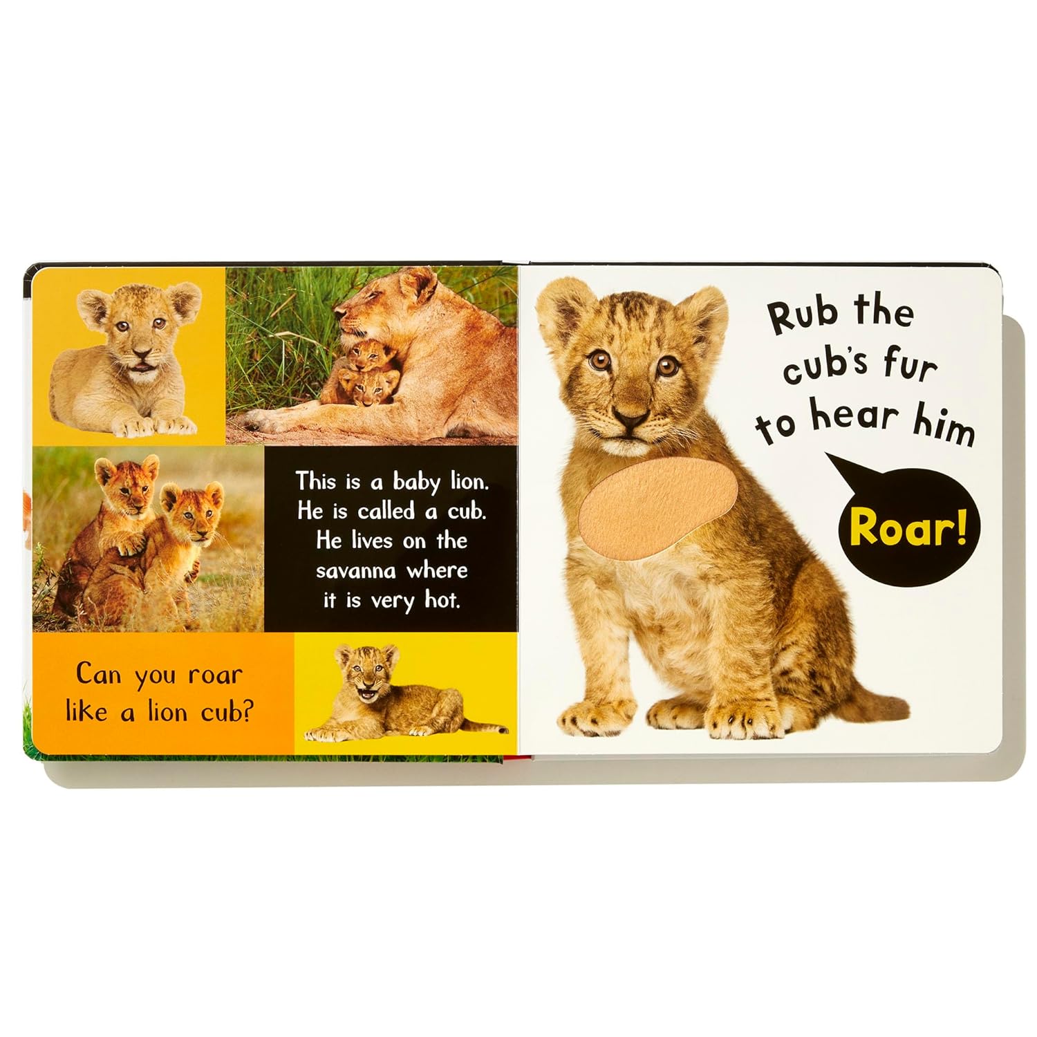 My First Touch And Feel Sound Book - Noisy Baby Animals