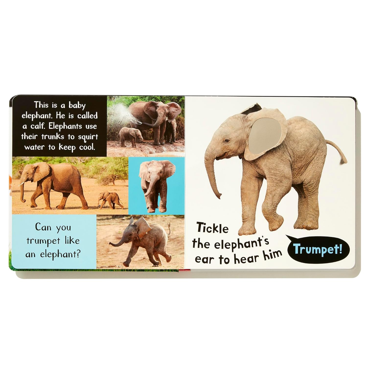 My First Touch And Feel Sound Book - Noisy Baby Animals